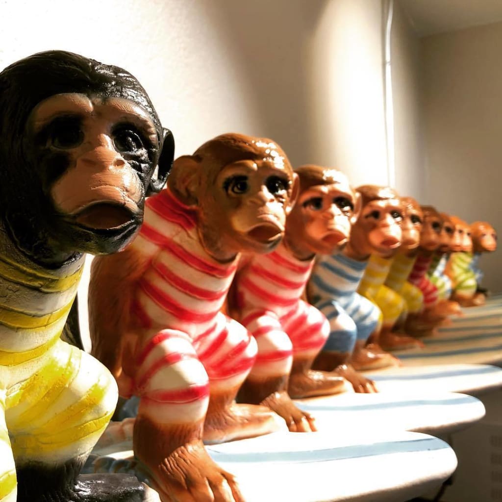 THE SURF MONKEY - Urbanstylebuy
